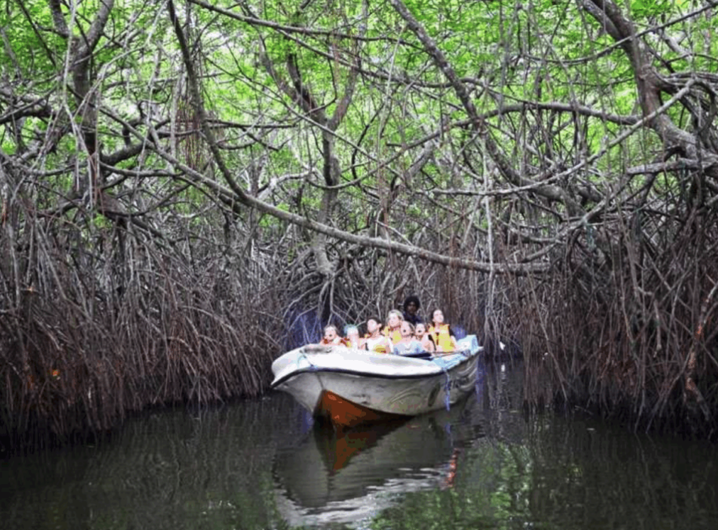 ボートサファリ